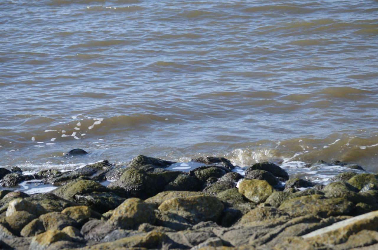 Apartment Strandstern Mit Wallbox *